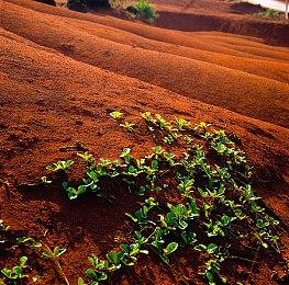 恐怖游戏《万手一体》预告 试玩Demo 10月新品节上线