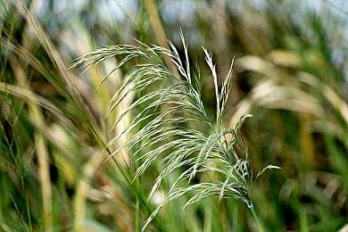 《使命召唤19：现代战争2》官方Logo公布