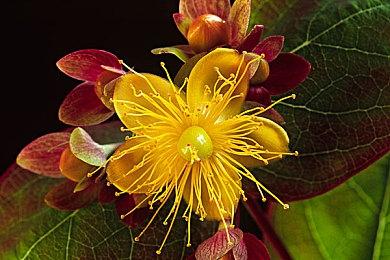 《特殊行动：一线生机》Steam突然停售 非官方渠道依然可买