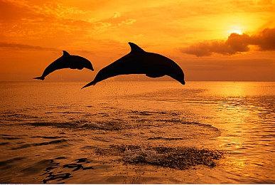 致敬经典 粉丝打造《最终幻想6》2D-HD重制版